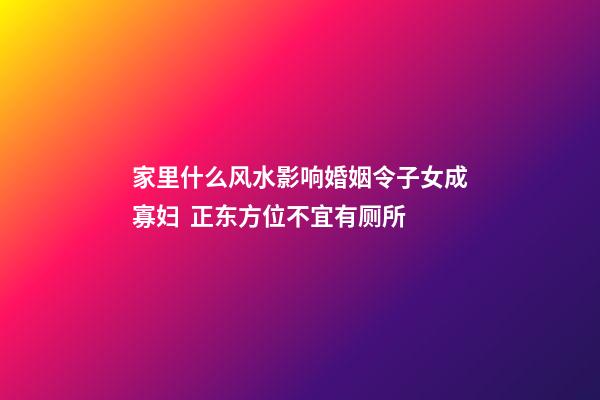 家里什么风水影响婚姻令子女成寡妇  正东方位不宜有厕所